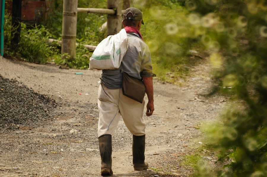Miles de personas luchan por su derecho a la tierra. Foto referencial de César Augusto Ramírez Vallejo/Pixabay