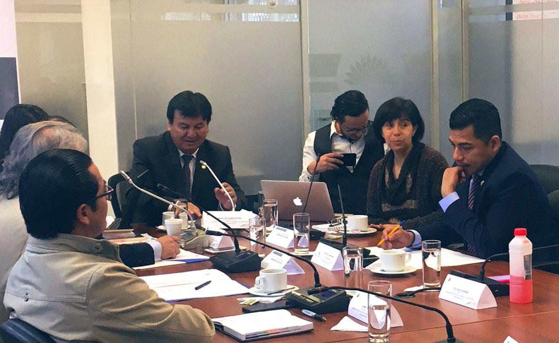 Gina Benavides, defensora del Pueblo (e) comparece ante la Comisión Ocasional que trata casos de Personas Desaparecidas de la Asamblea Nacional. Foto: DPE